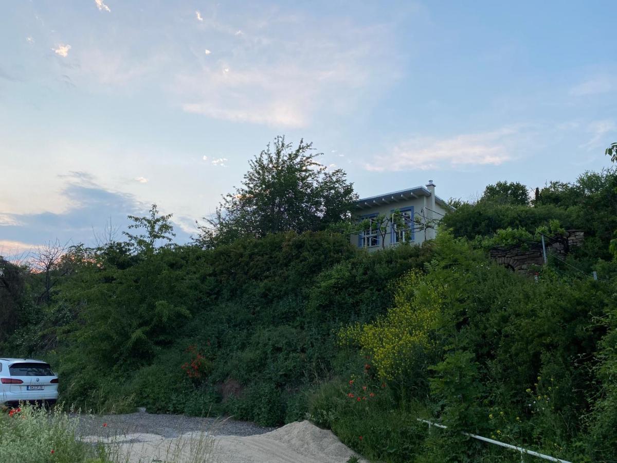 Weinbergshaus Mit Blick Auf'S Wasser Salzatal Exteriör bild