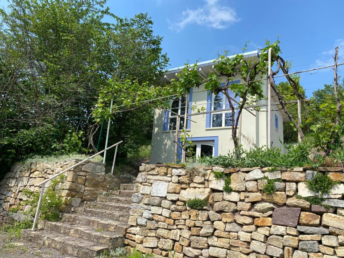 Weinbergshaus Mit Blick Auf'S Wasser Salzatal Exteriör bild